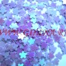 Блестки Purple Flowers Gilina Nail - blestki-dlja-nogtej-s16081210sd.jpg