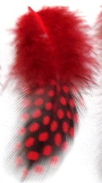 Перья для дизайна ногтей #014 Перья для дизайна ногтей красно-бордовые с тигровым рисунком