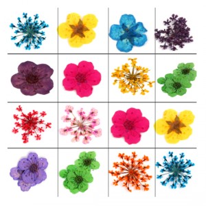 Сухоцветы в ассортименте разные Сухоцветы для дизайна ногтей в ассортименте, разные (15 видов)  Цена за 1 шт.