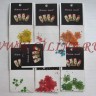 Сухоцветы в ассортименте разные - материалы-для-дизайна-на-ногтях-120611993l.jpg