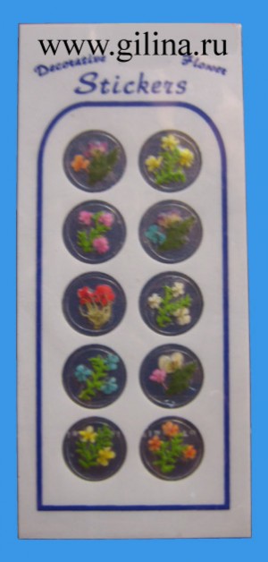 Сухоцветы с клеящей основой Сухоцветы - наклейки в ассортименте с клеящей основой
