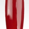 Гель-лак для ногтей Fashion Red 10 мл. #64 - gel-lak-dlja-nogtej-red-64.jpg