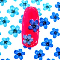 Стикеры на ногти Сухоцветы